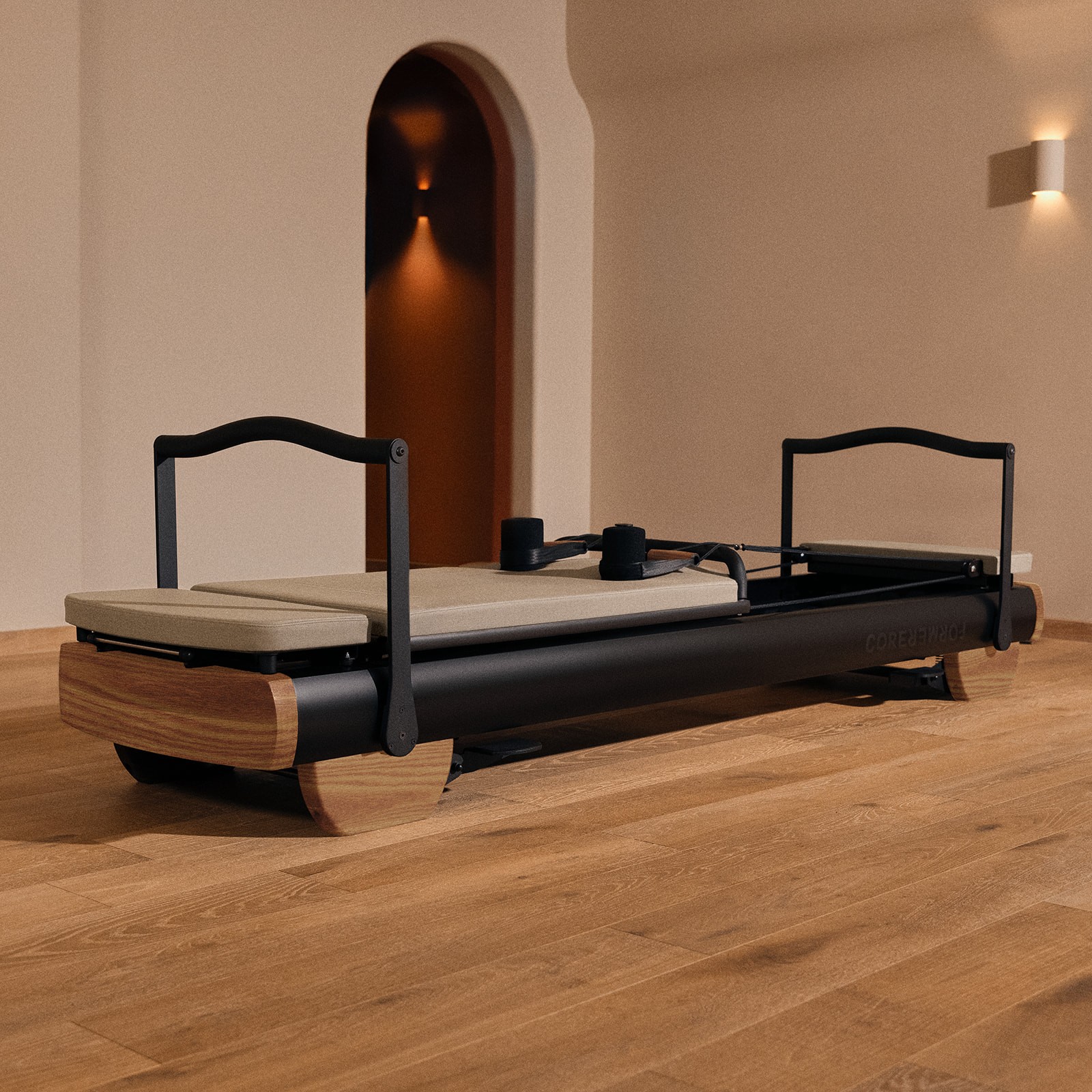 A small bird perched on a thin branch.