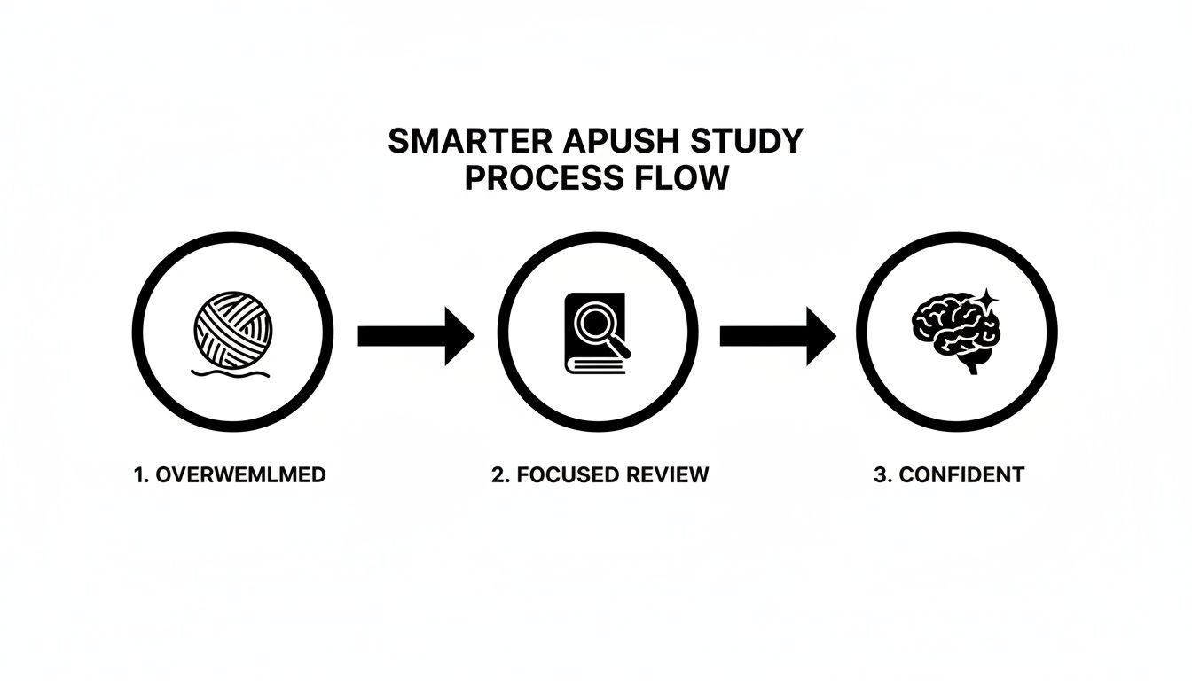APUSH study process flow: from overwhelmed (tangled yarn) to confident (sparking brain) via focused review.