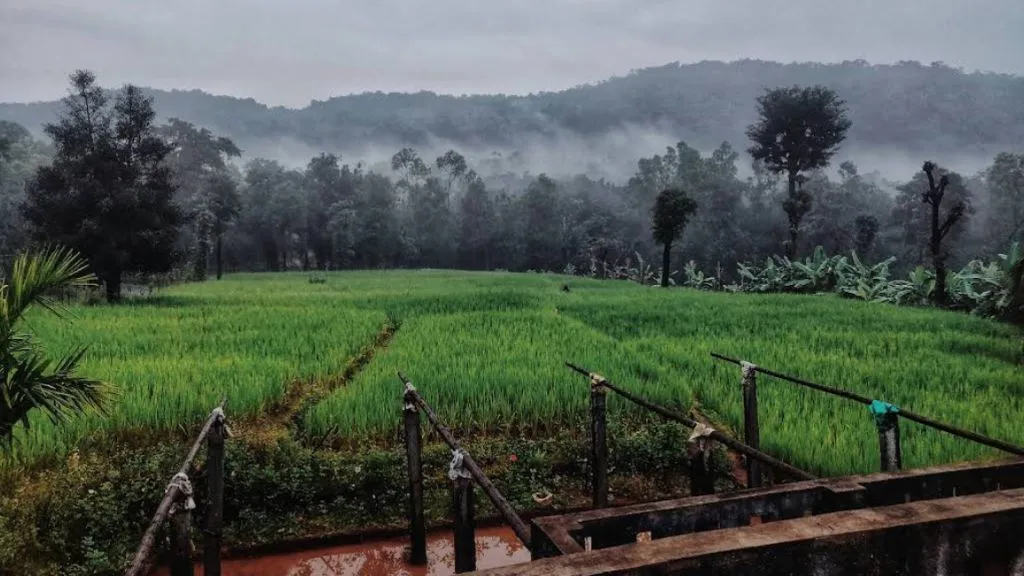 Chikmagalur in Monsoon Season