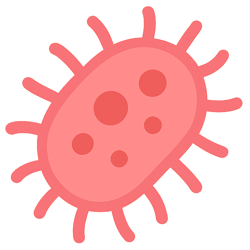 Bacteria