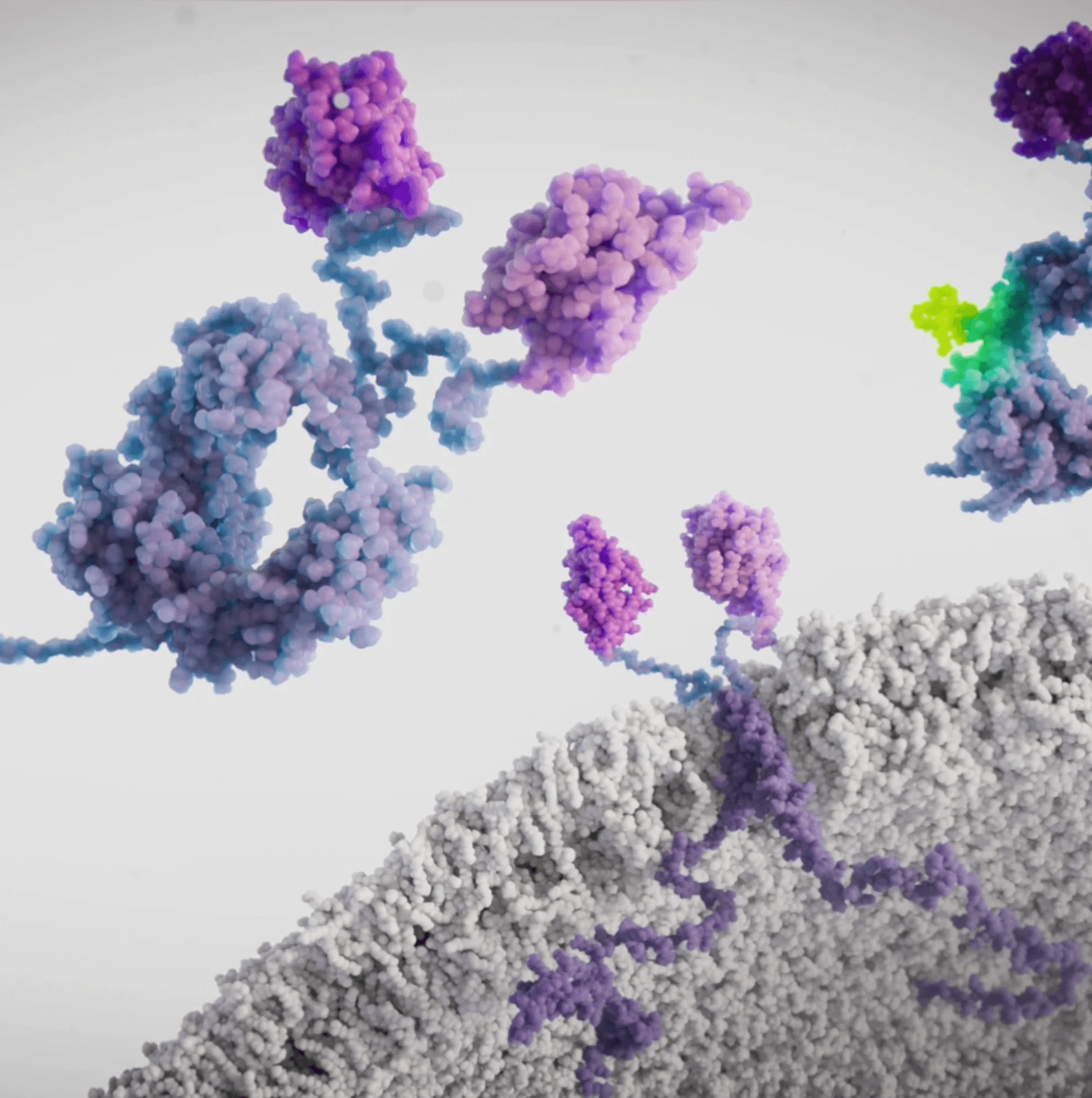 VTRU200 and  VCAR300 in membrane 
