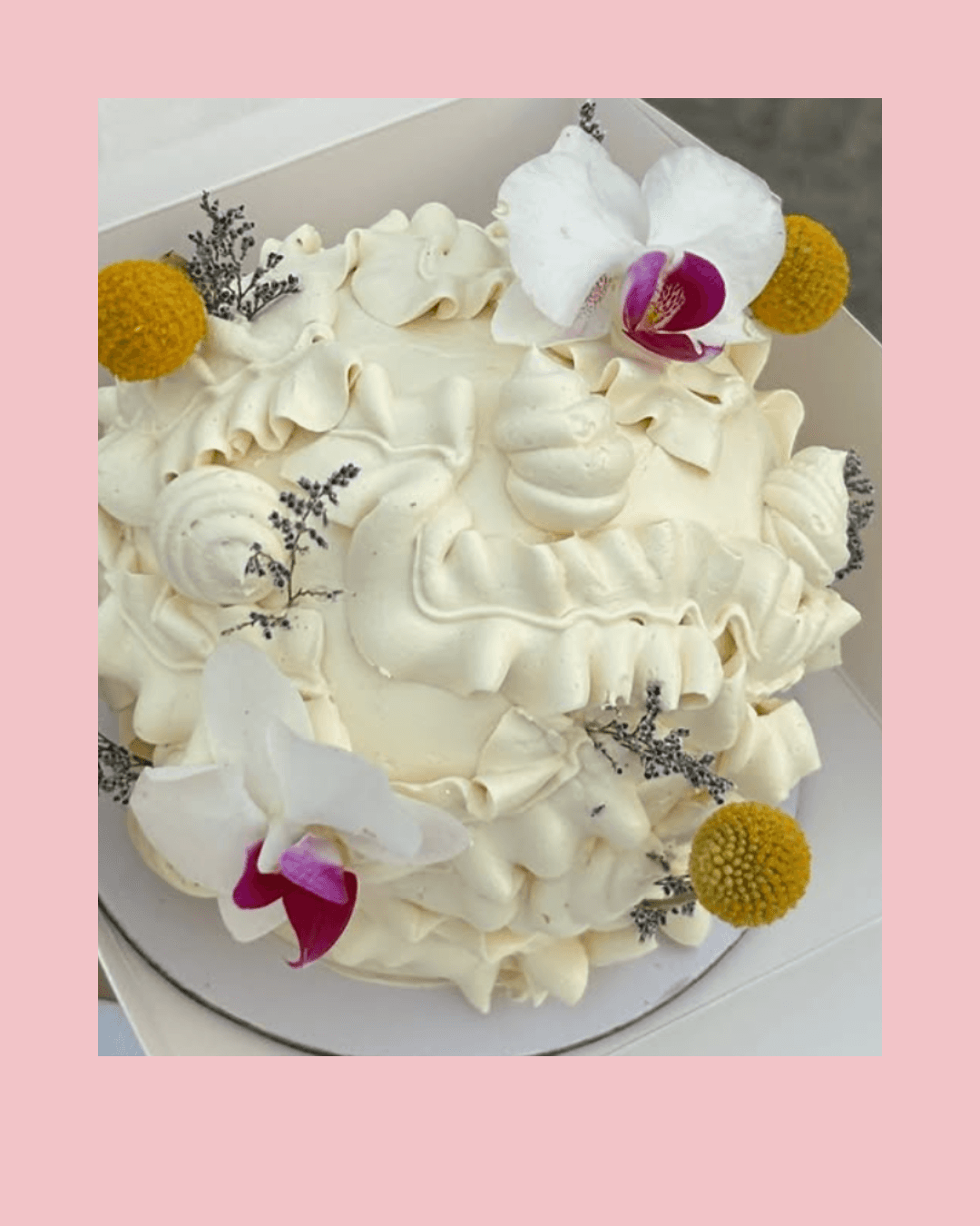 Pastel 6