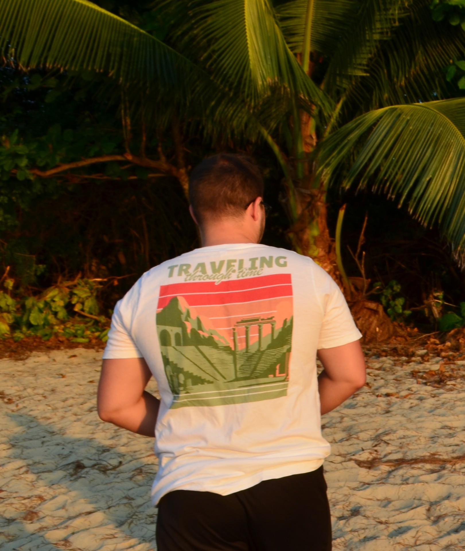 Close-up of a tree stump showing growth rings and a textured brown wood surface.