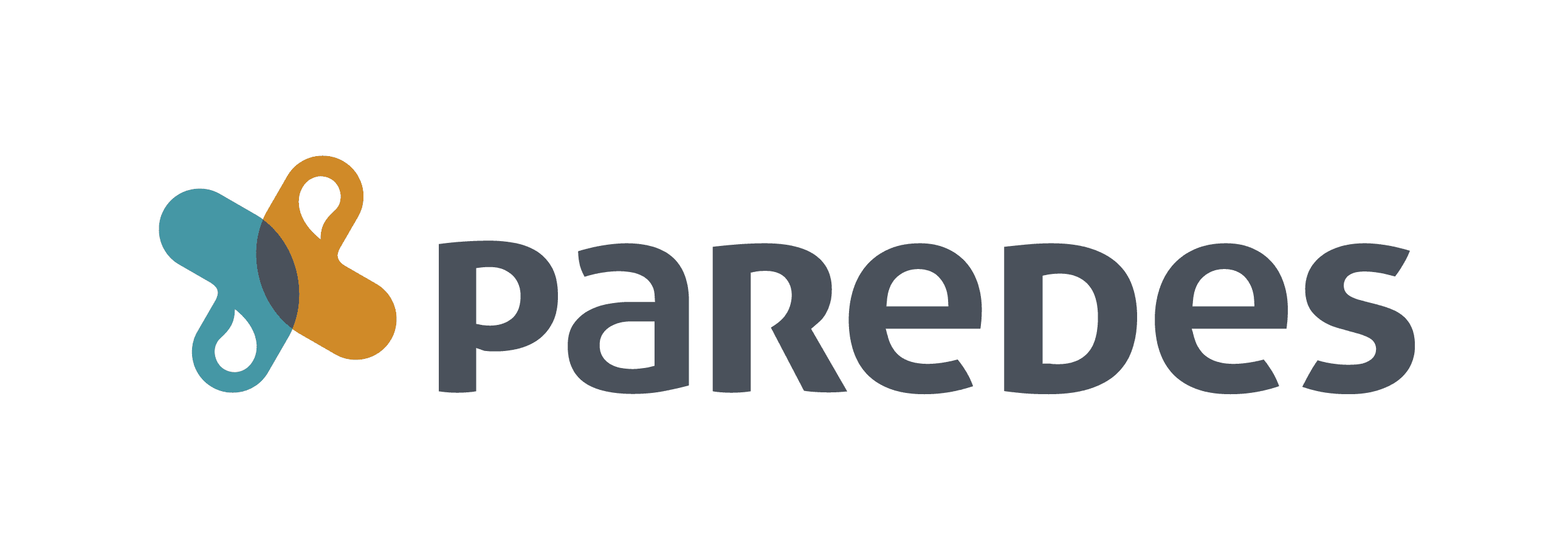 Logo Paredes