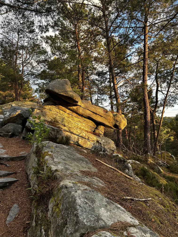 Fontainbleau Condition checker Boulder Outdoor