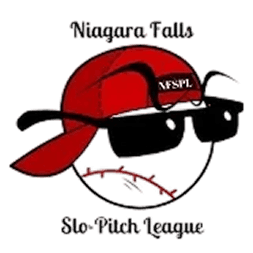 A TeamLinkt Sports League Partner Logo