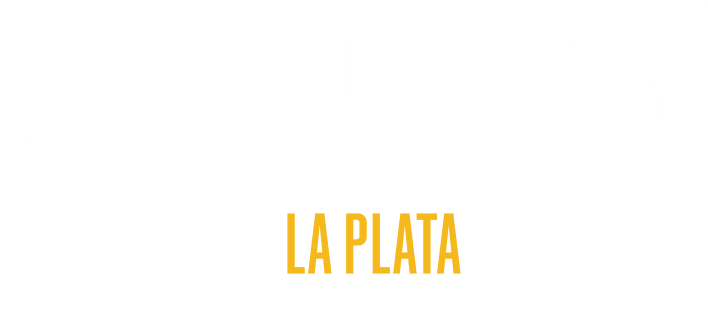 logo prvsm