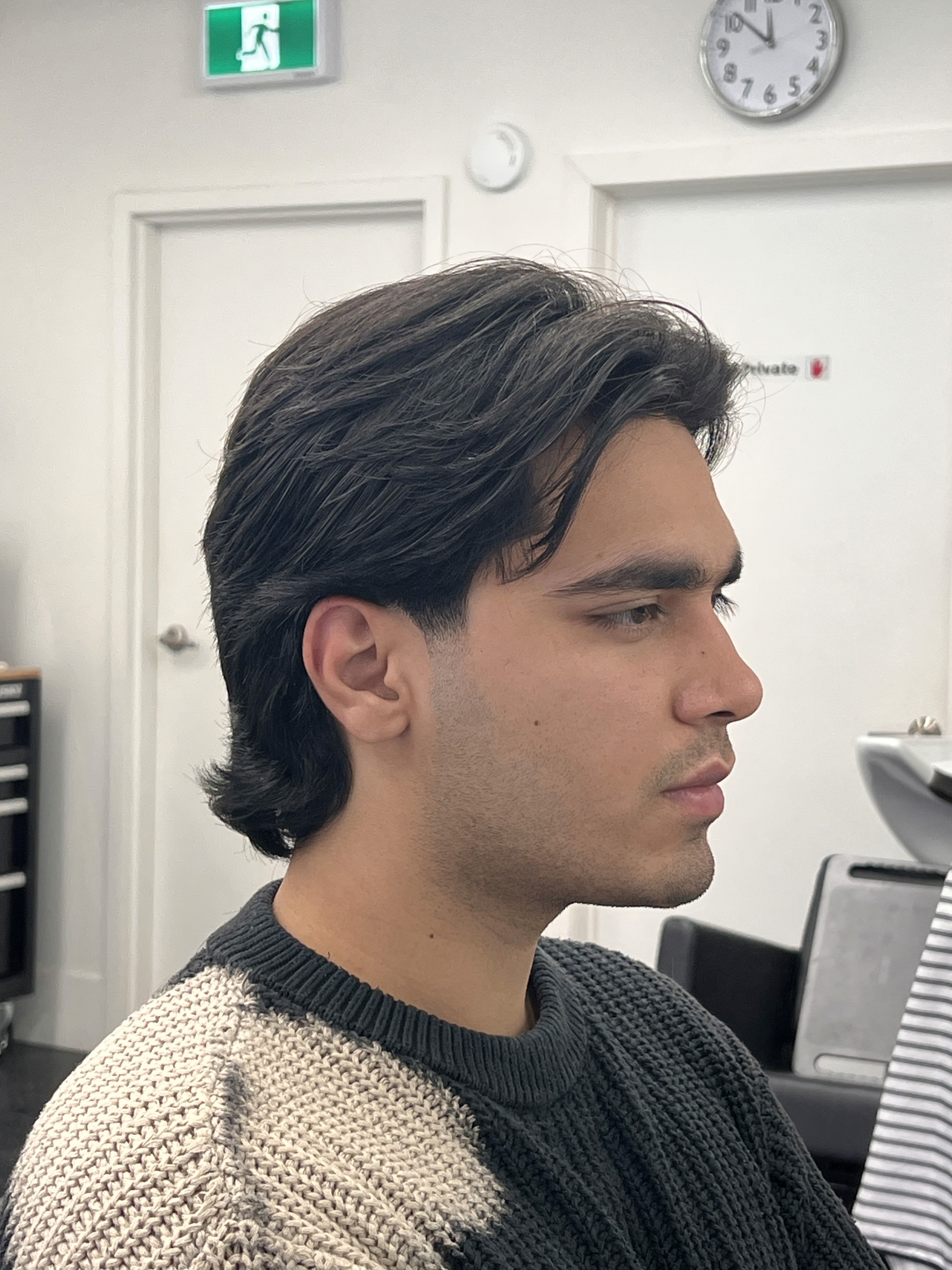 litter of dogs fall in line beside wall