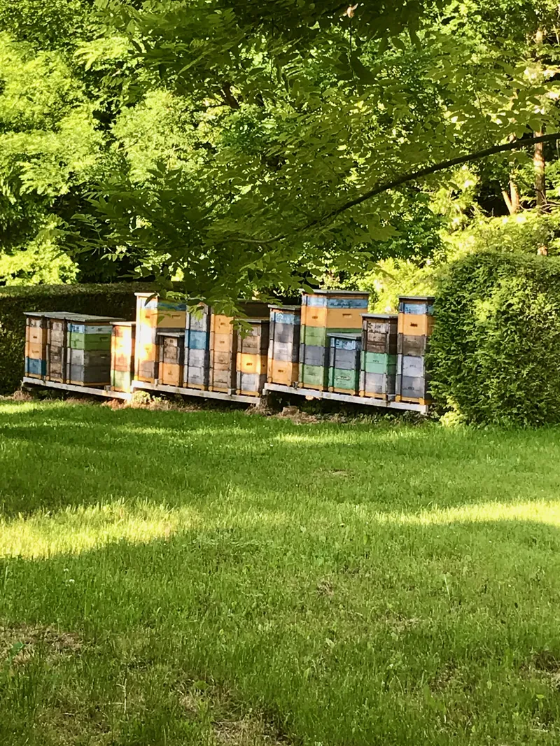 Rakodó kaptárak a méhesben