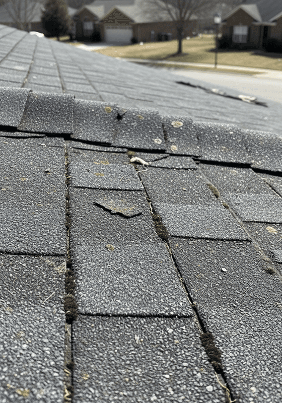 Home protected with tarps and safety netting during roofing, supervisor in PPE.