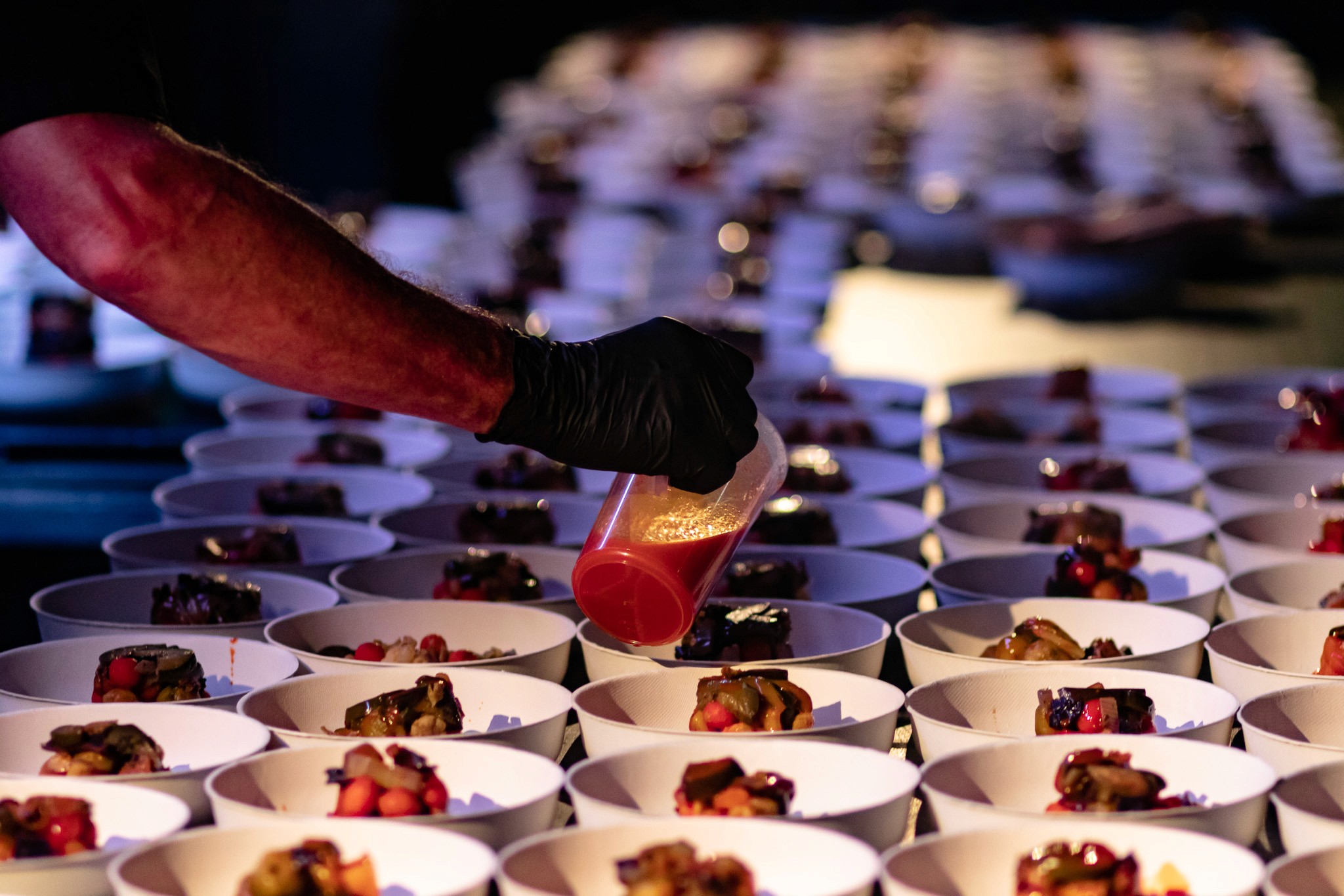 walking dinner grote zaal paard