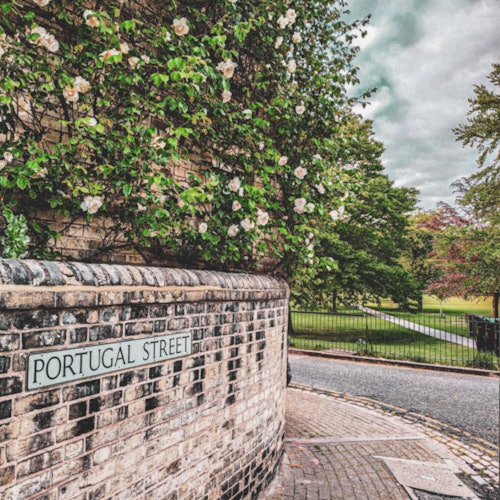 Brick wall with "Portugal Street" sign, overgrown with white flowers and greenery, beside a road leading to a park with trees.