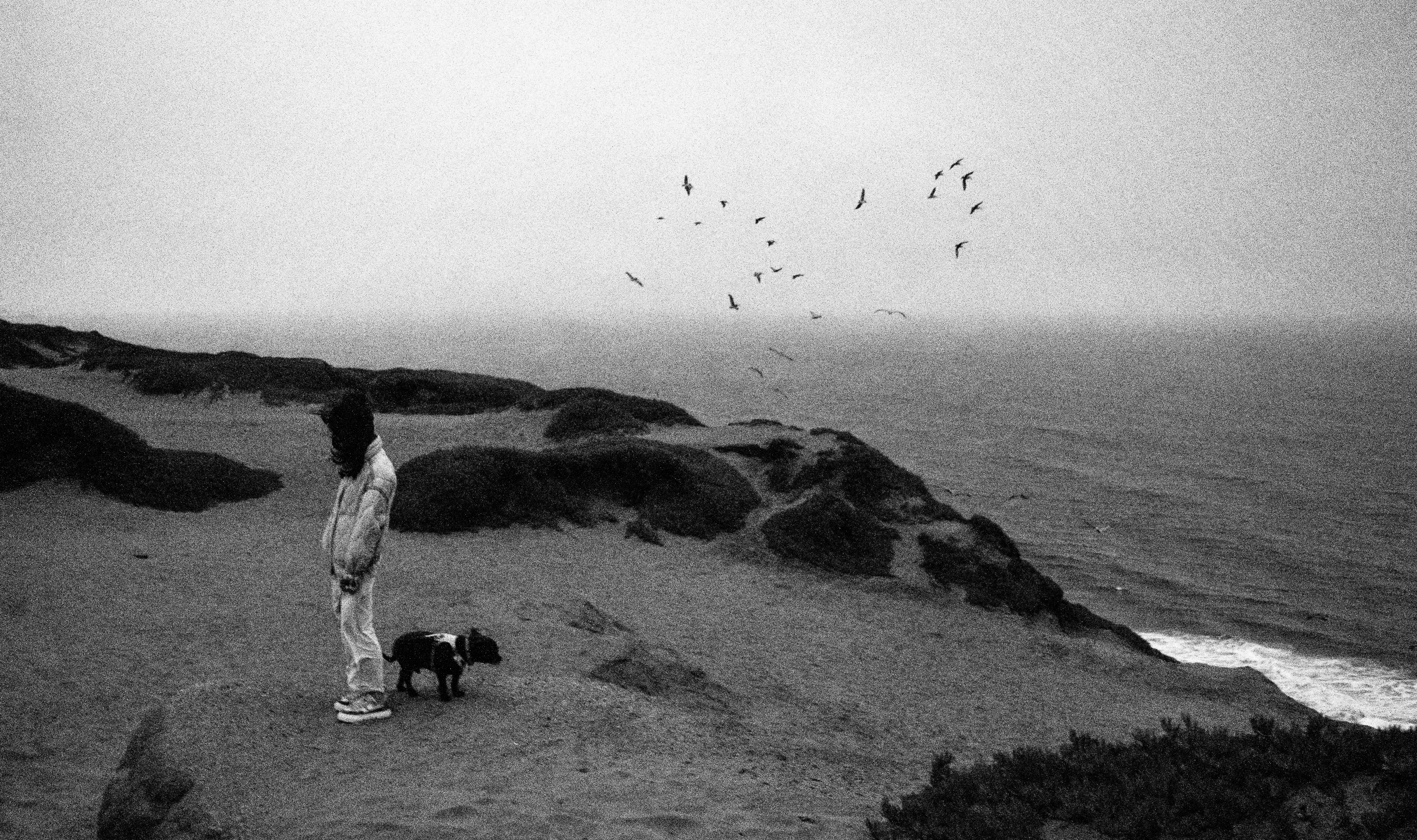 CAYLA. NIKON Z6. SUMMER 2024. UNKNOWN, CA