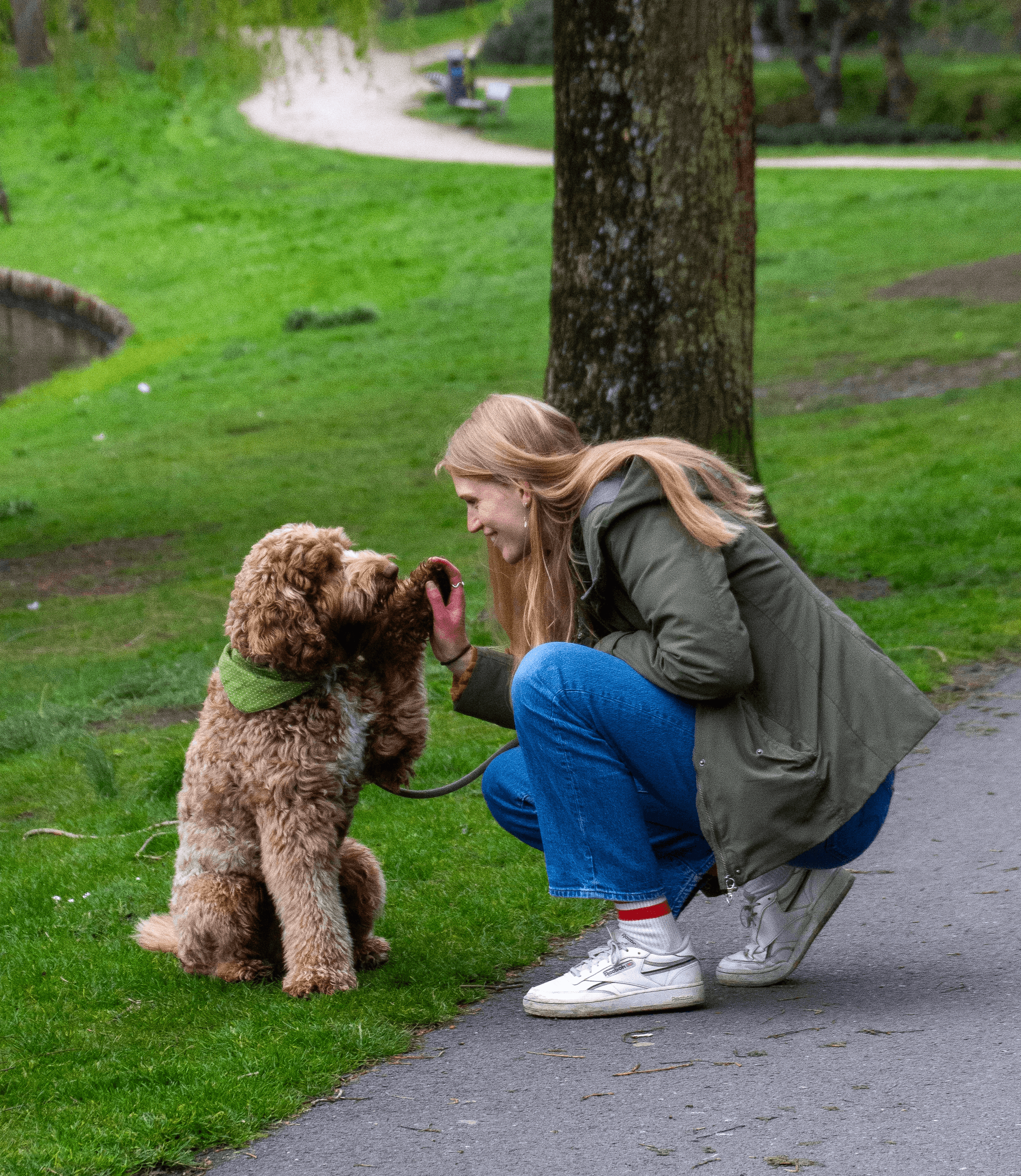 Book your pet sitter via the app