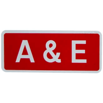 A&E, Accessibility and Environment Film Festival