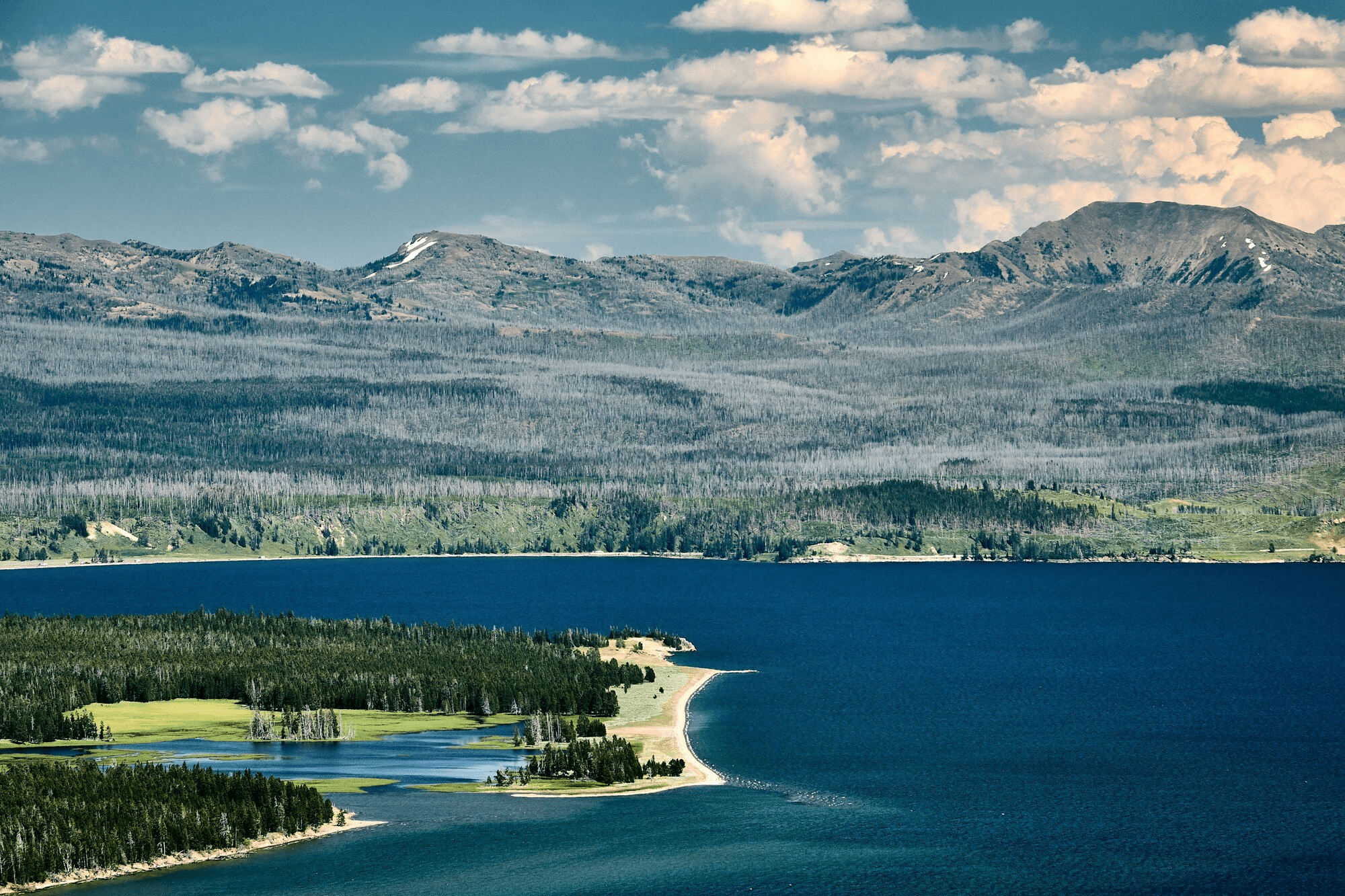 Dynamic picture of a cyclist riding downhill