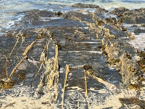 blue sky and white clouds over the sea