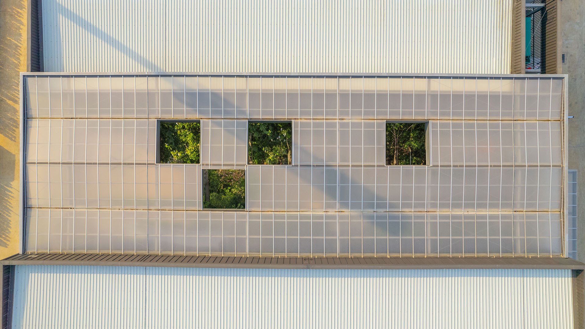 Modern architectural roof, featuring translucent panels with an integrated green courtyard.