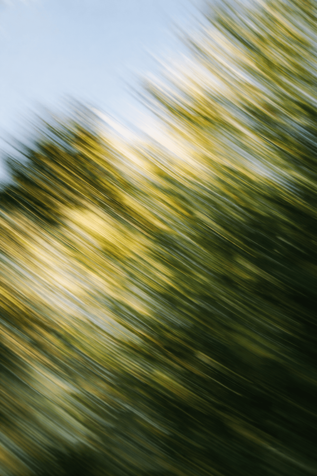 DiPON colour-changing nail system