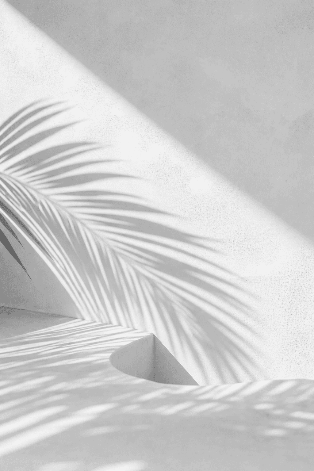 BĒBOHĀ - Pal Shadows