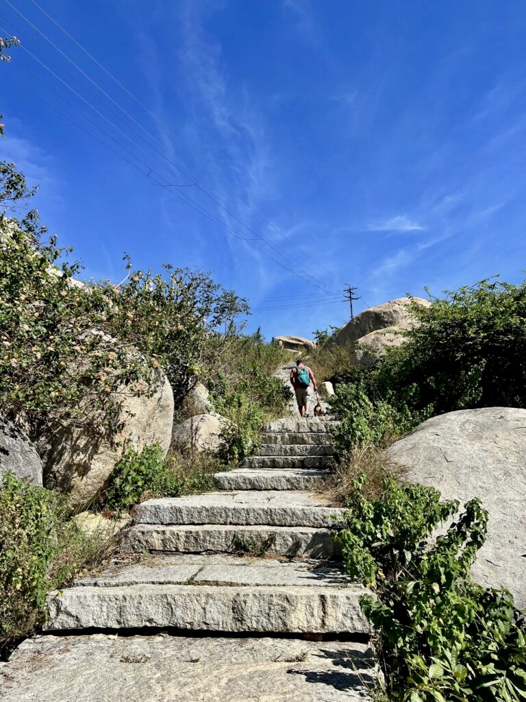 The ancient steps leading up the Avani betta