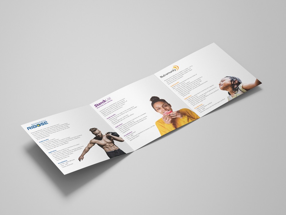 Inside page of the trifold brochure