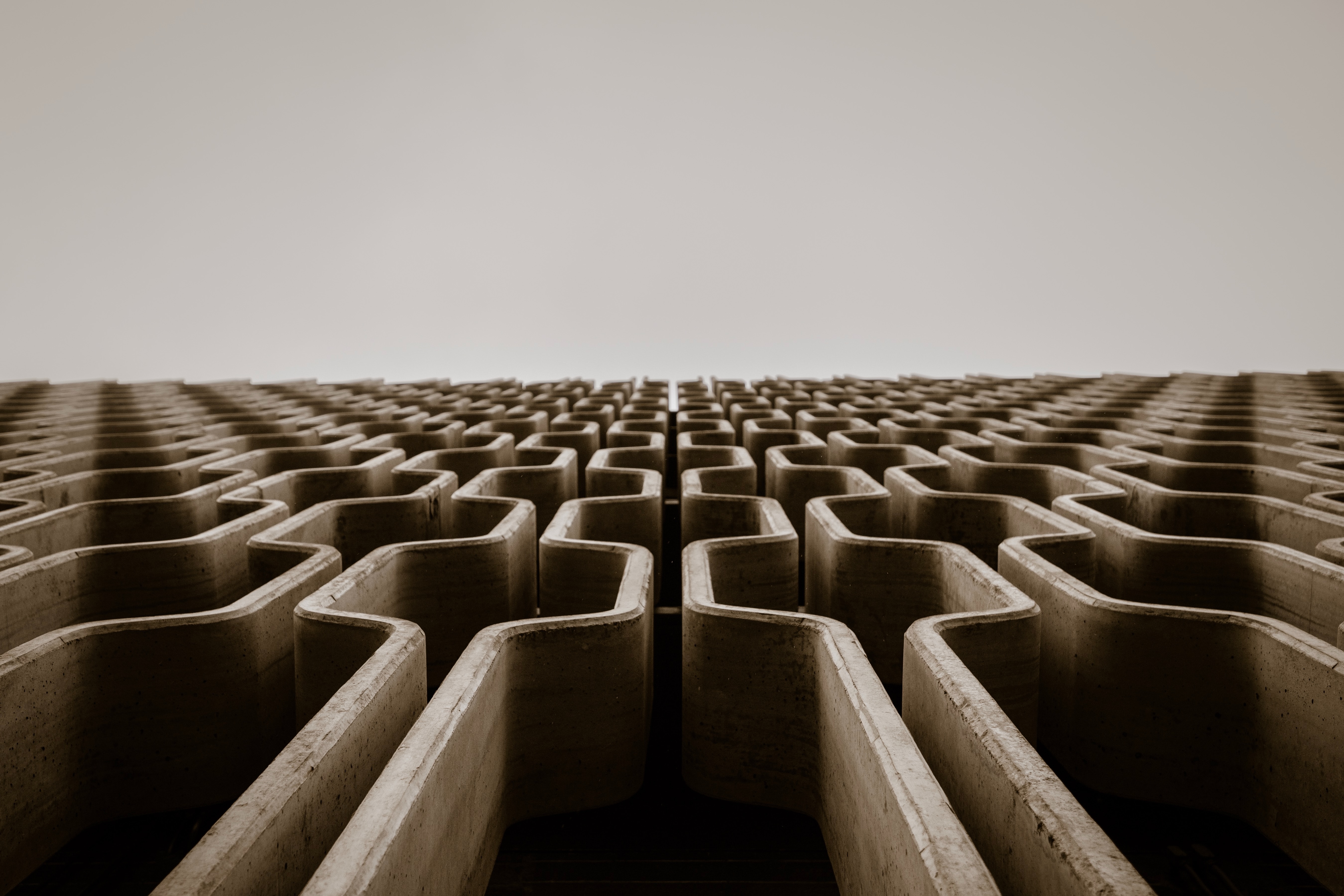 Photo of a maze