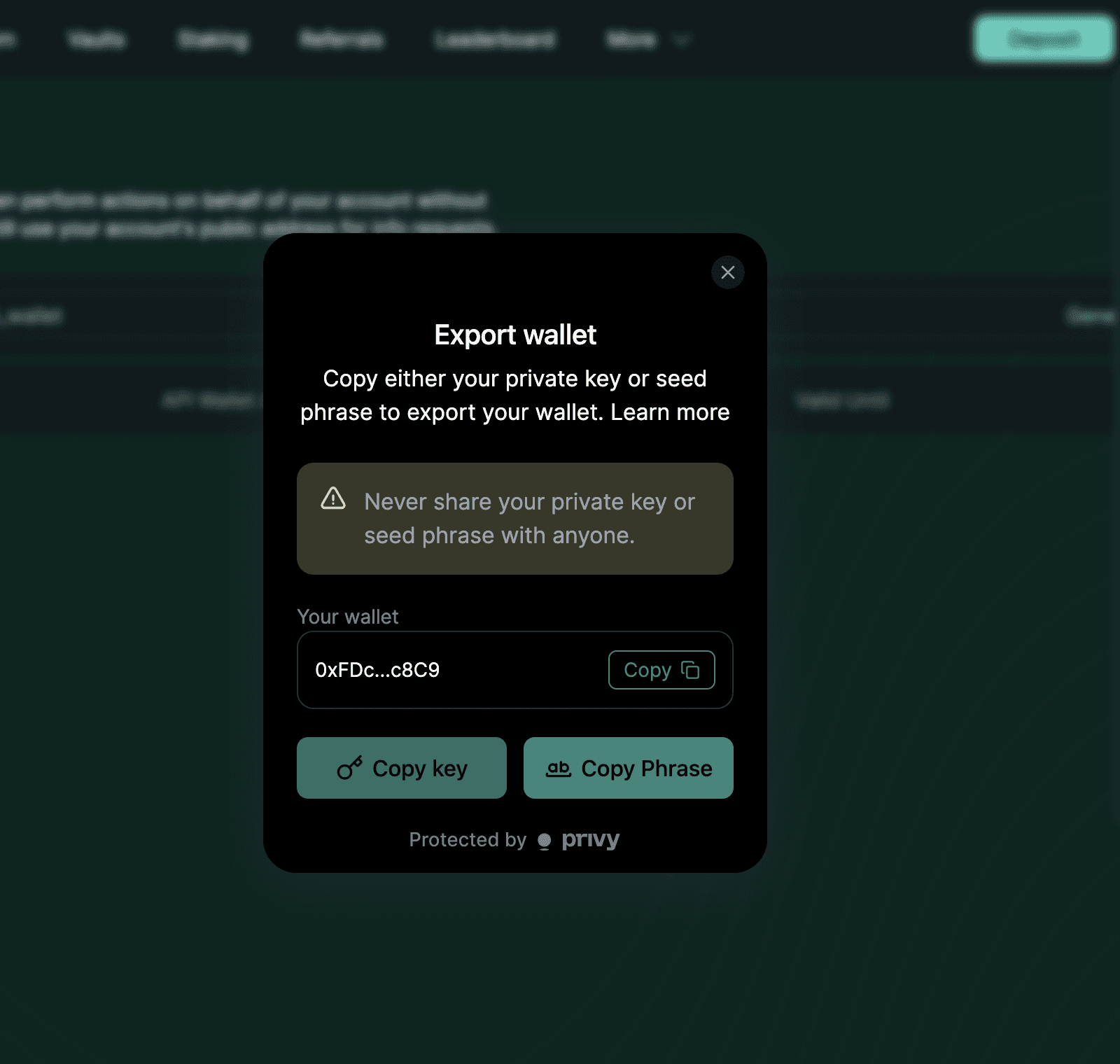 export email wallet privy