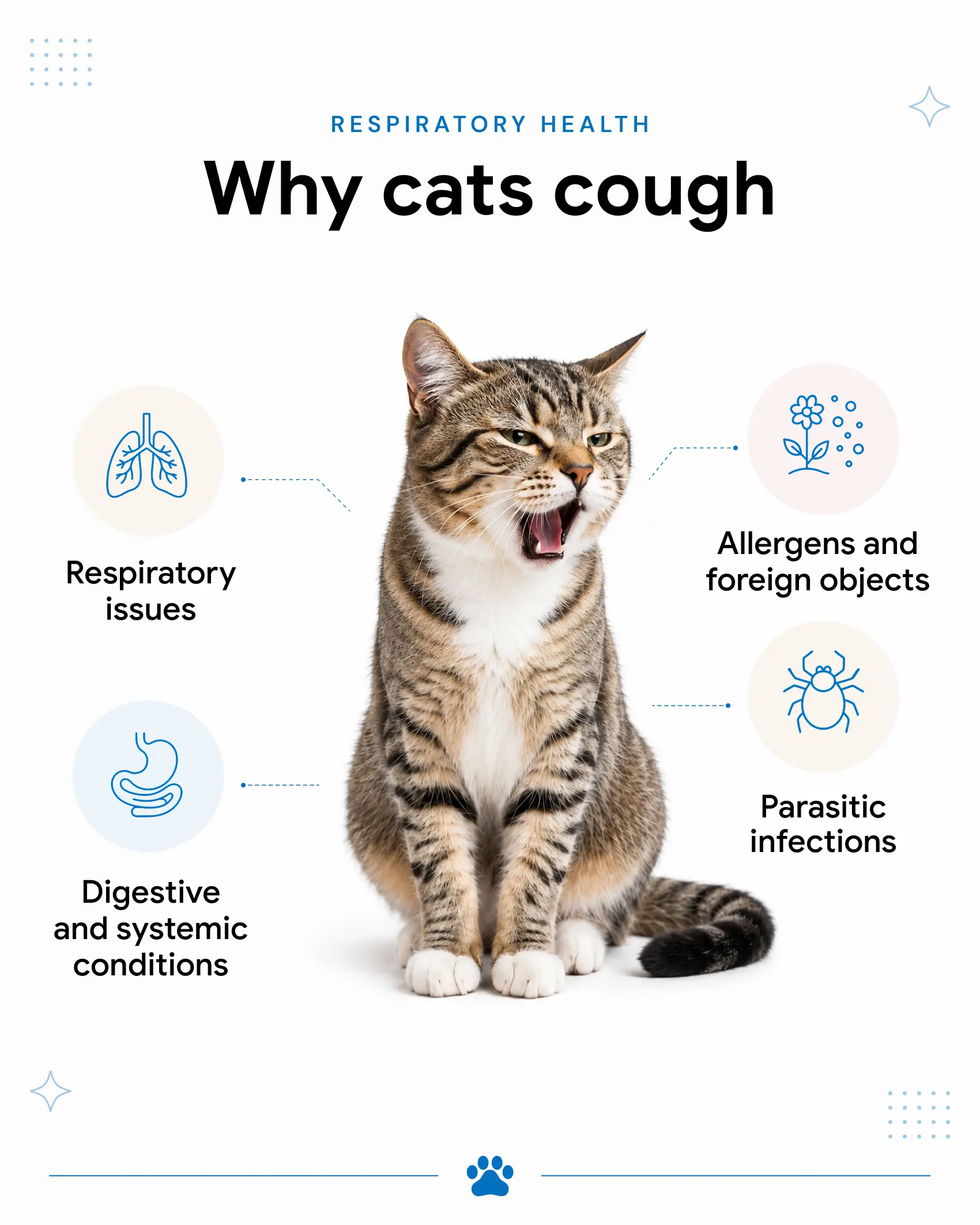 An infographic featuring a vet holding a white cat, showing the reasons why cats cough.