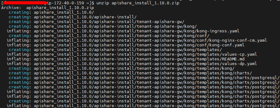 Terminal unzipping the installation archive