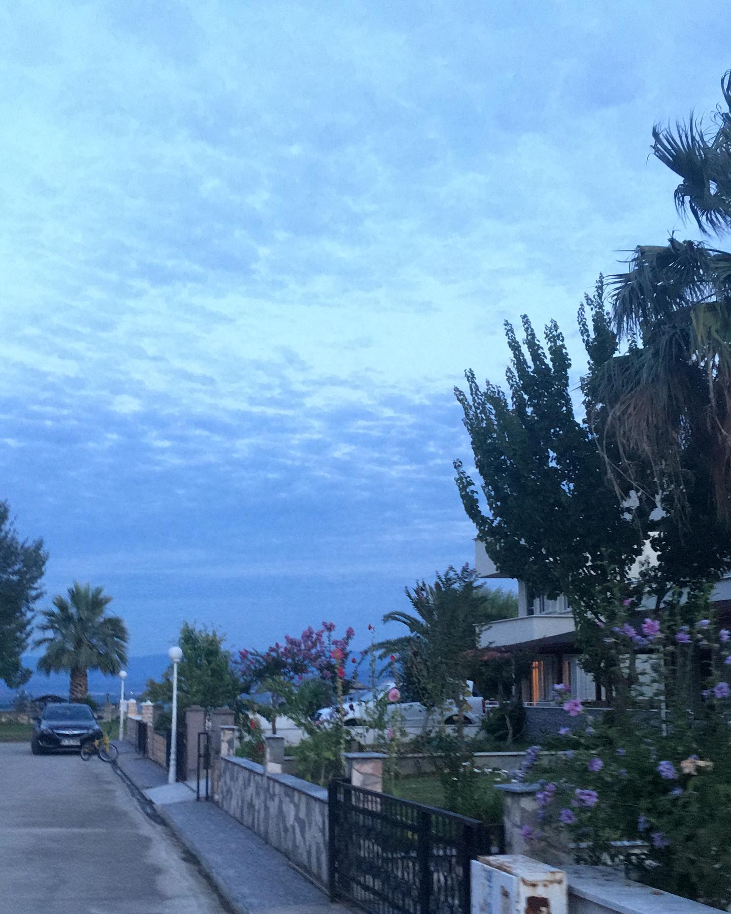 a building with persony windows