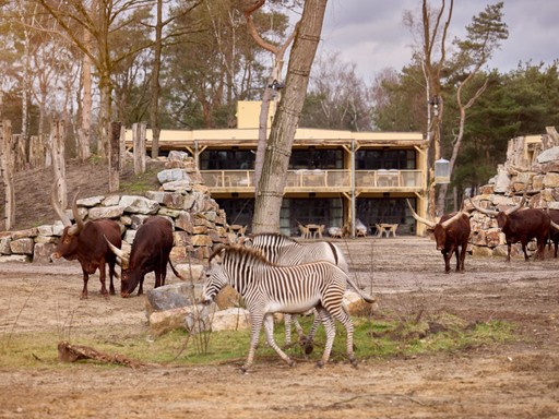 vakantiepark met kinderen