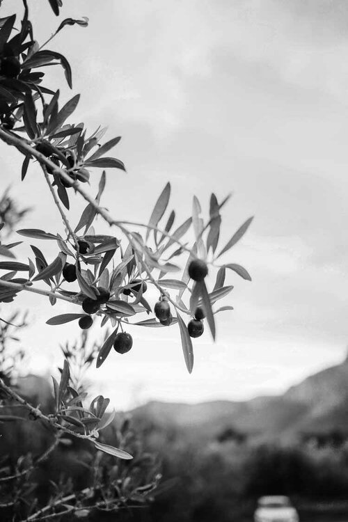 Luxury flights to Catania Sicily - Valley of Temples Agrigento gateway