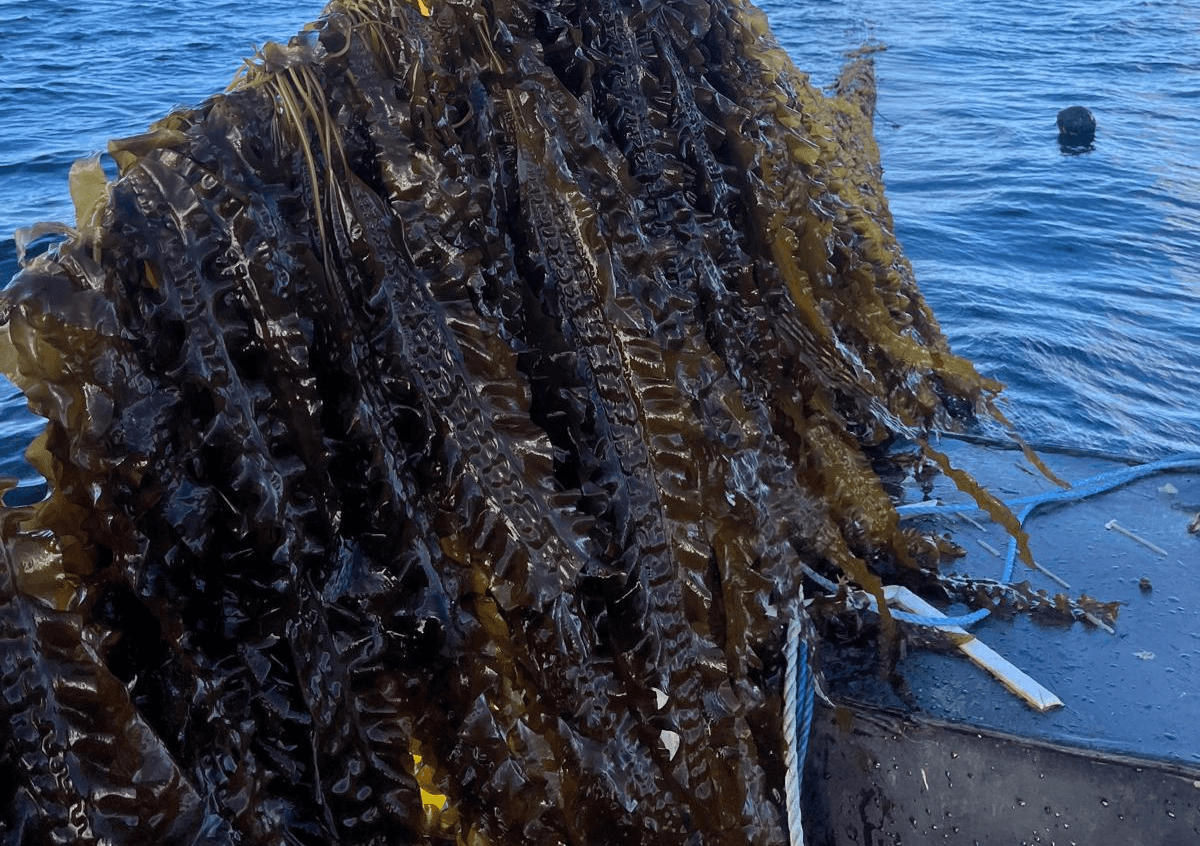 A man learning to surf