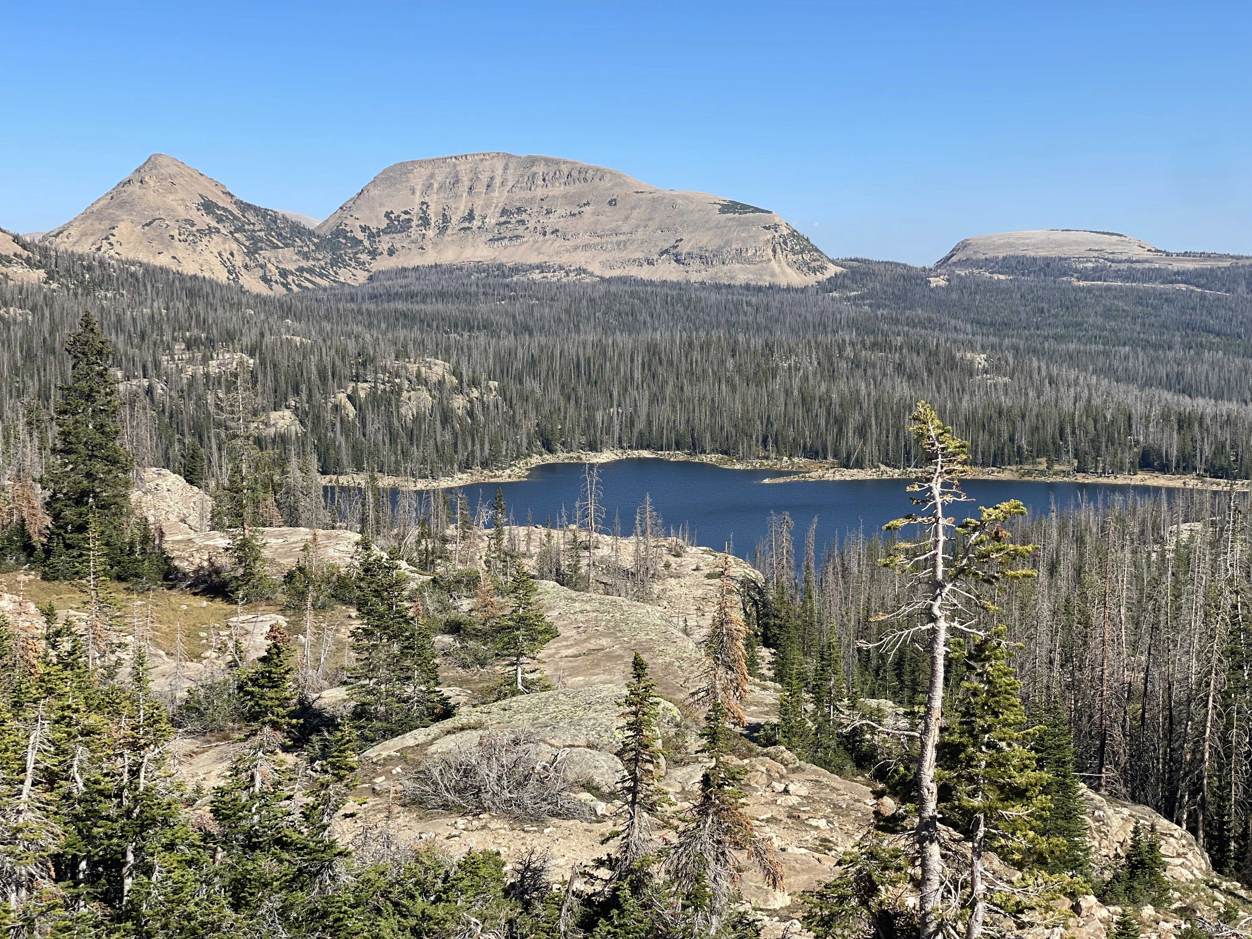 A view from an airplane window shows the aircraft's wing with a golden hue reflecting the setting sun, against a serene backdrop of fluffy clouds and a clear sky.