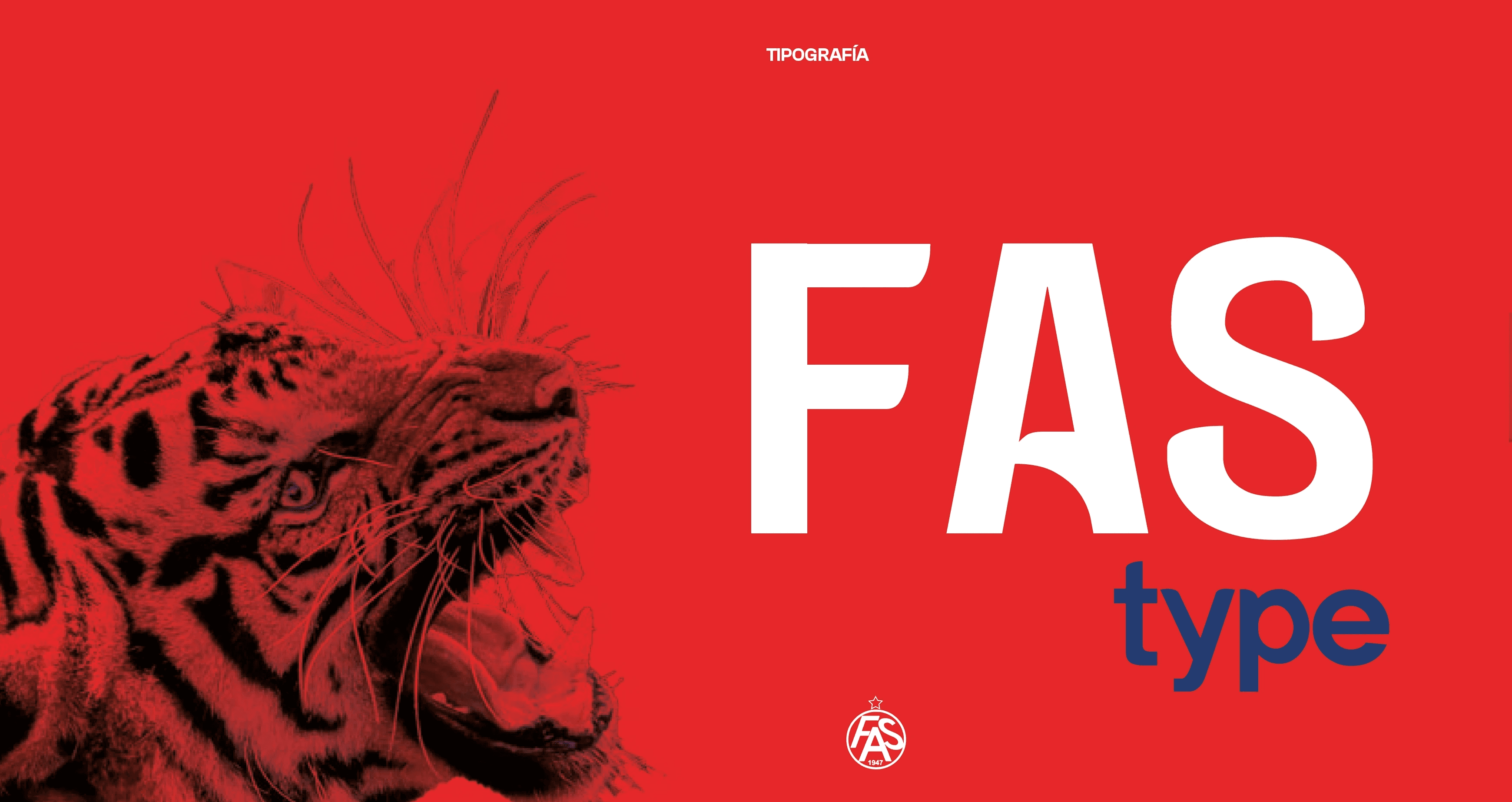 Project Content Image - 4