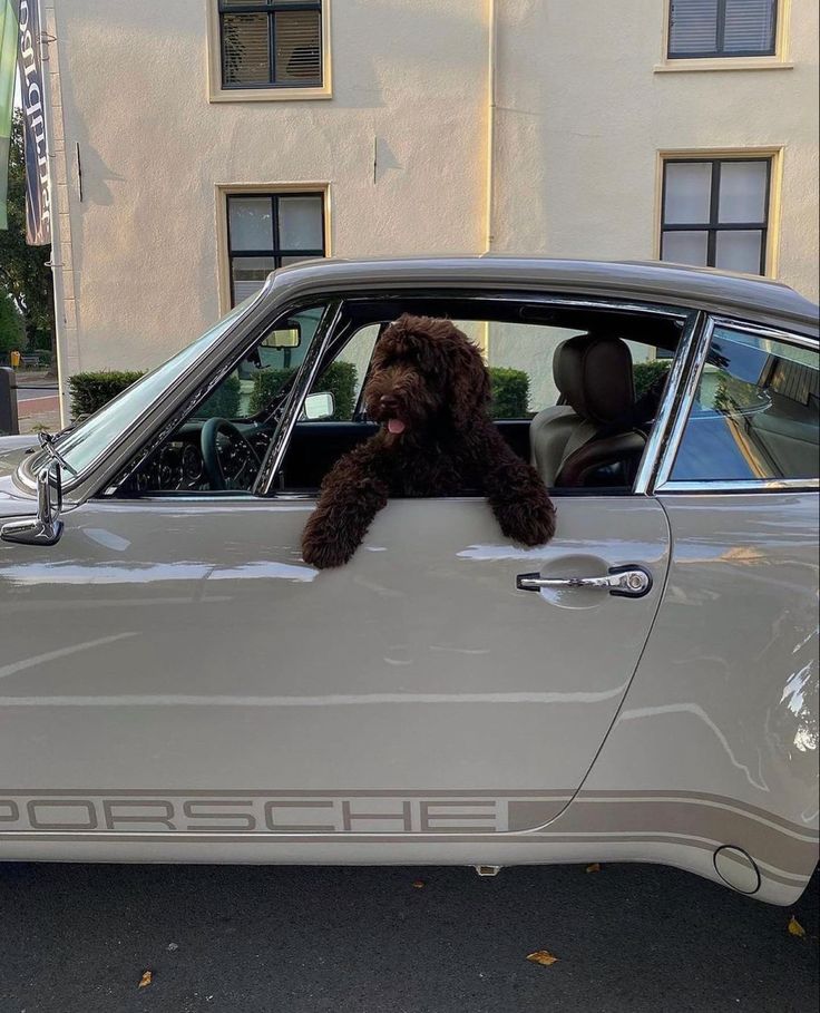 Una&Co Photo Transport