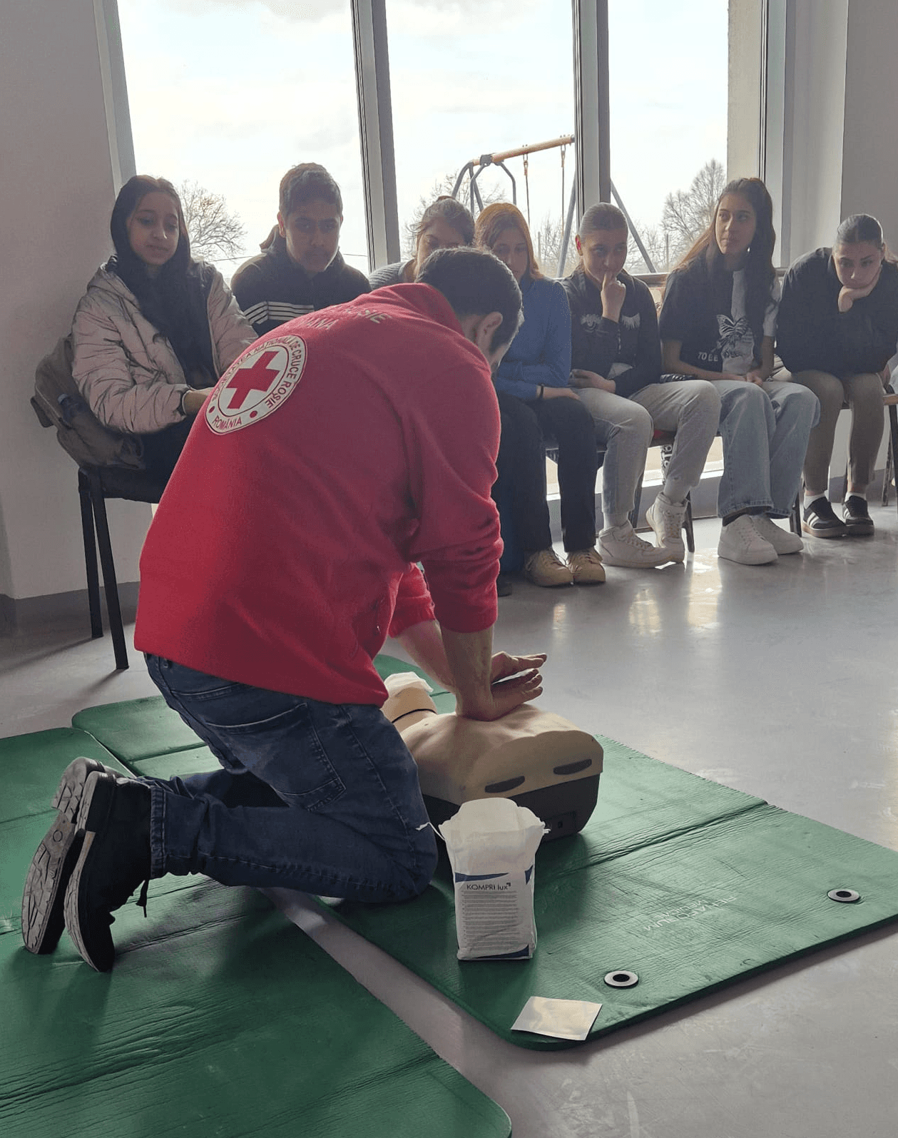 Close-up of evergreen foliage, showcasing vibrant green needles densely packed together.