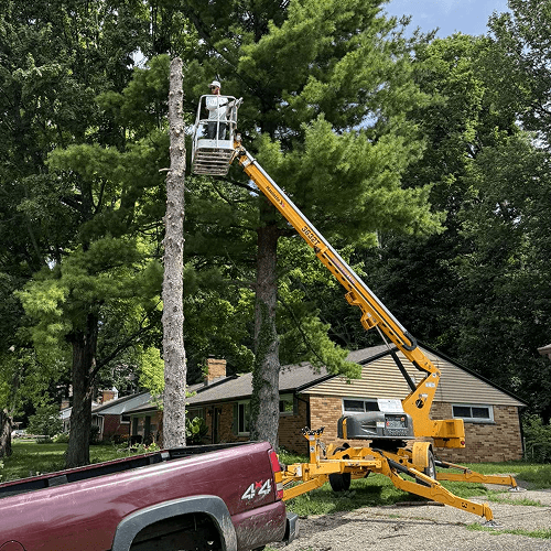 Landscaper on tree lift