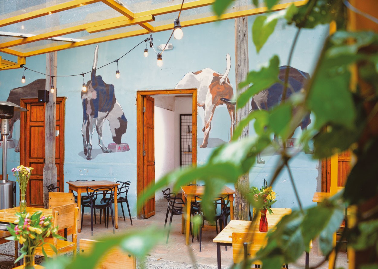 Featured Project Cover Image