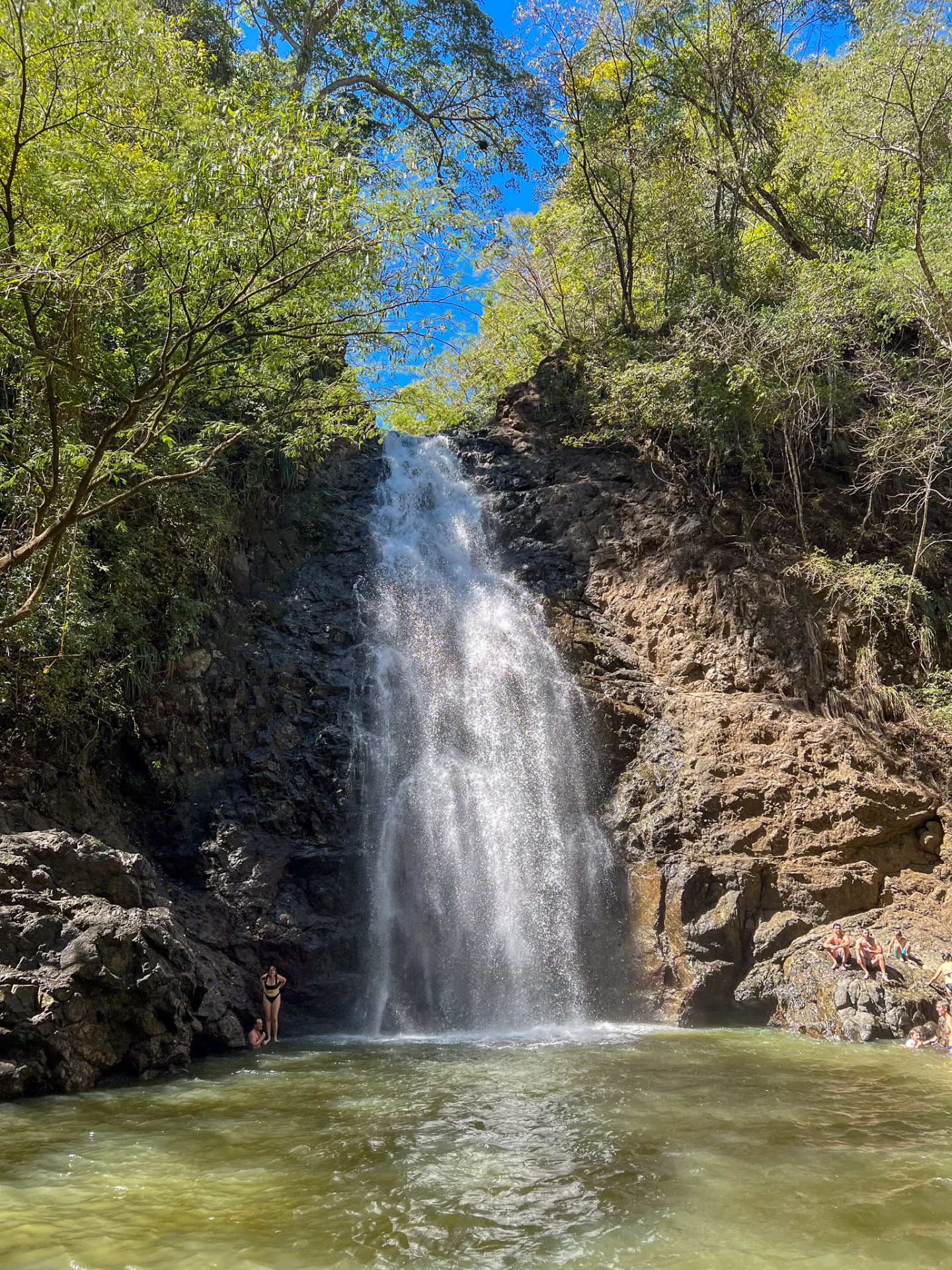 Montezuma Waterfall dropping into a natural pool surrounded by forest, with swimmers below