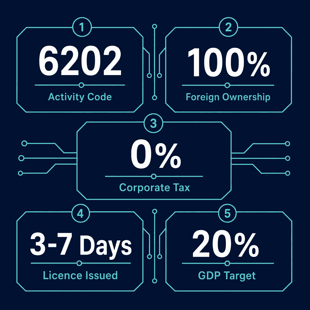 Infographic: How to Get a IT Consultancy Services Business License in Dubai