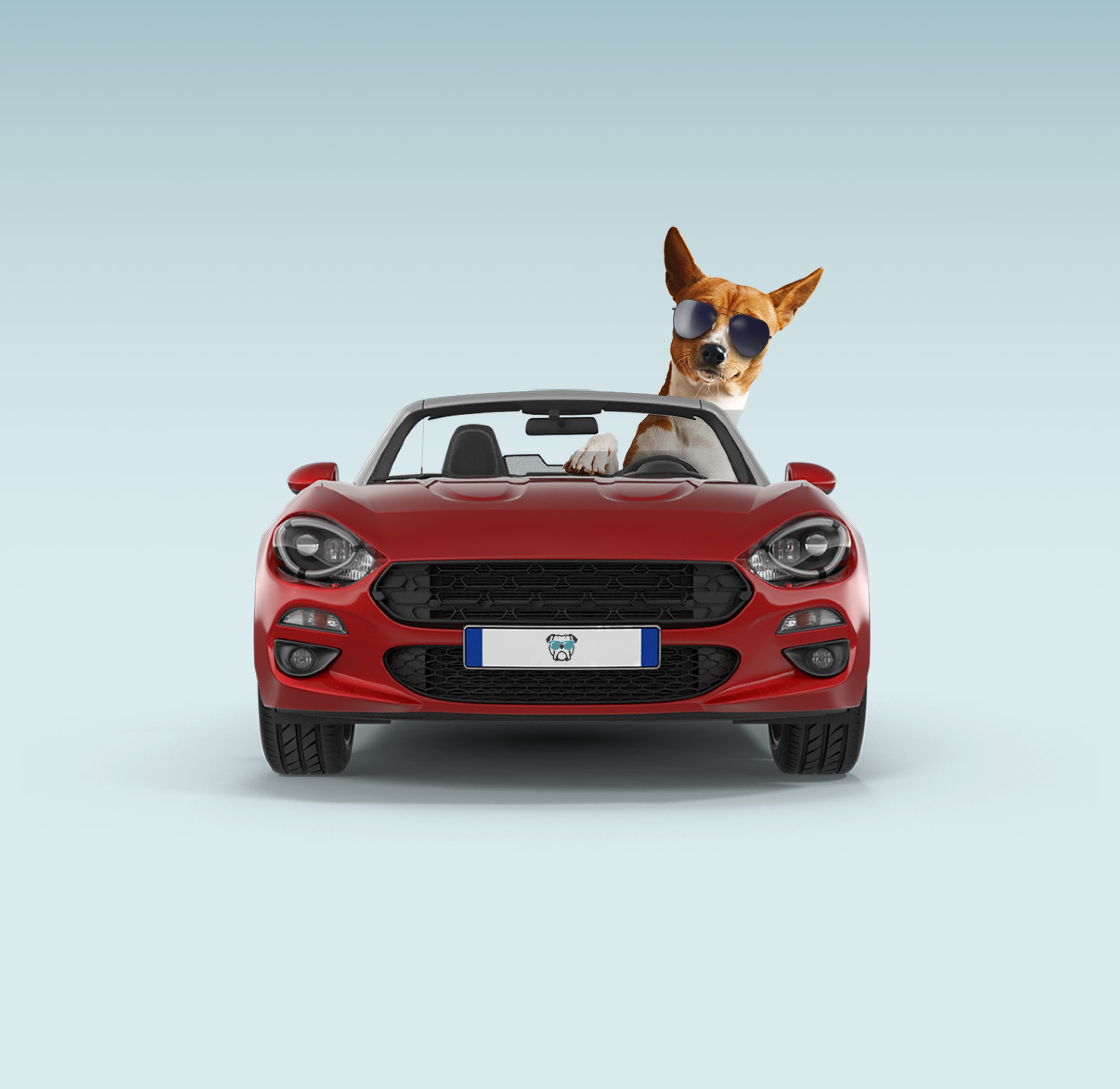 A dog wearing sunglasses sitting in the driver's seat of a red convertible sports car, shot straight-on against a light blue background