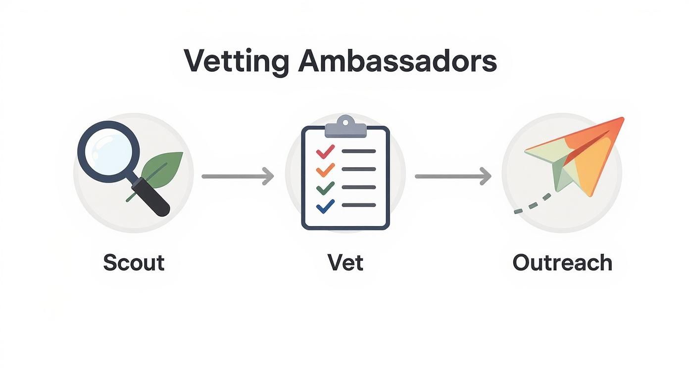 Three-step brand ambassador vetting process showing scout, vet checklist, and outreach stages with icons