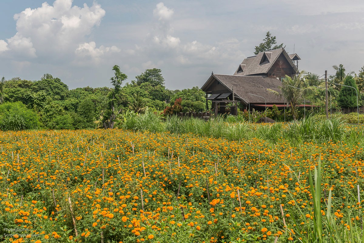 Bali by Sergei Chyrkov. Бали, фотограф Сергей Чирков