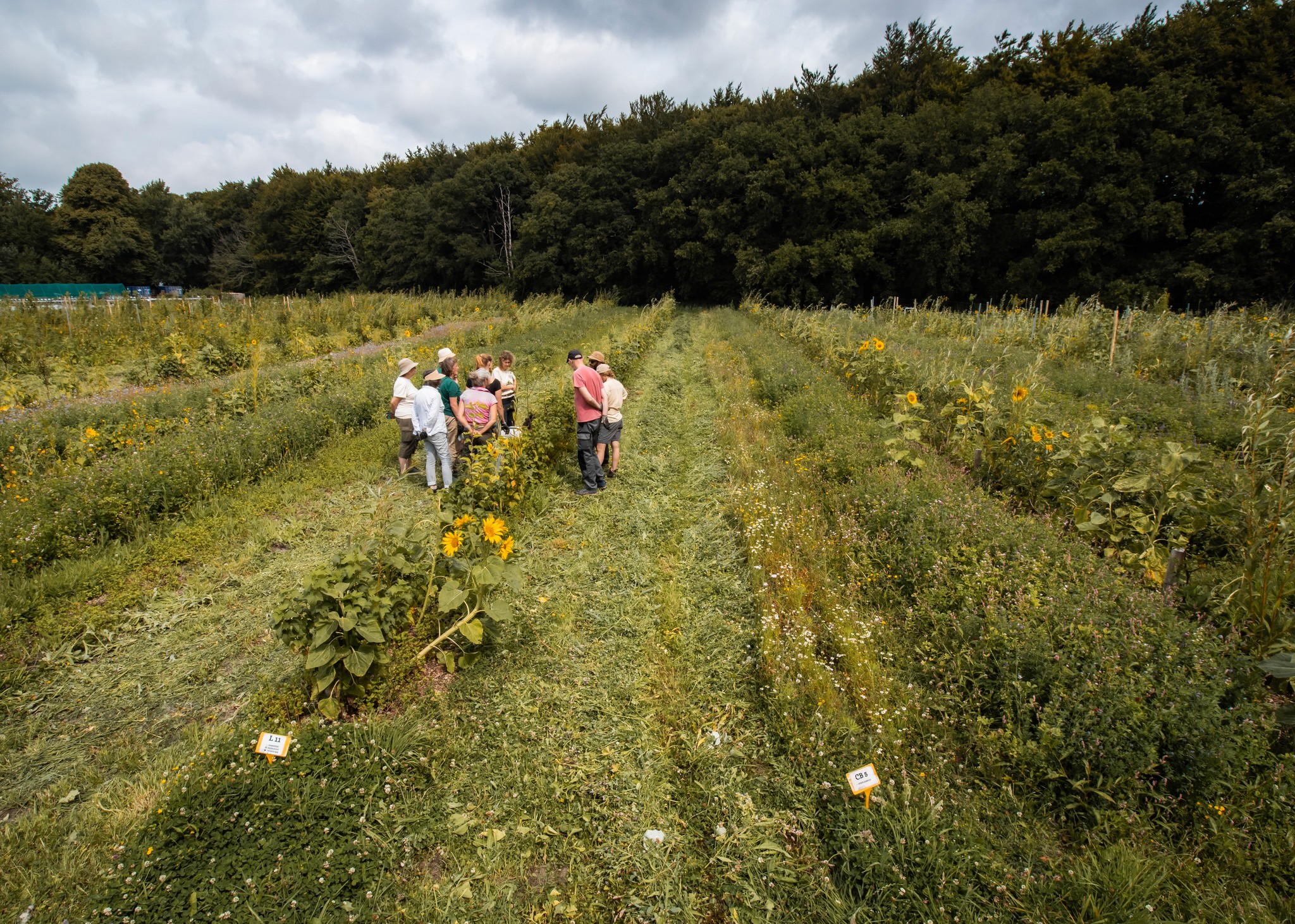Impact in de natuur