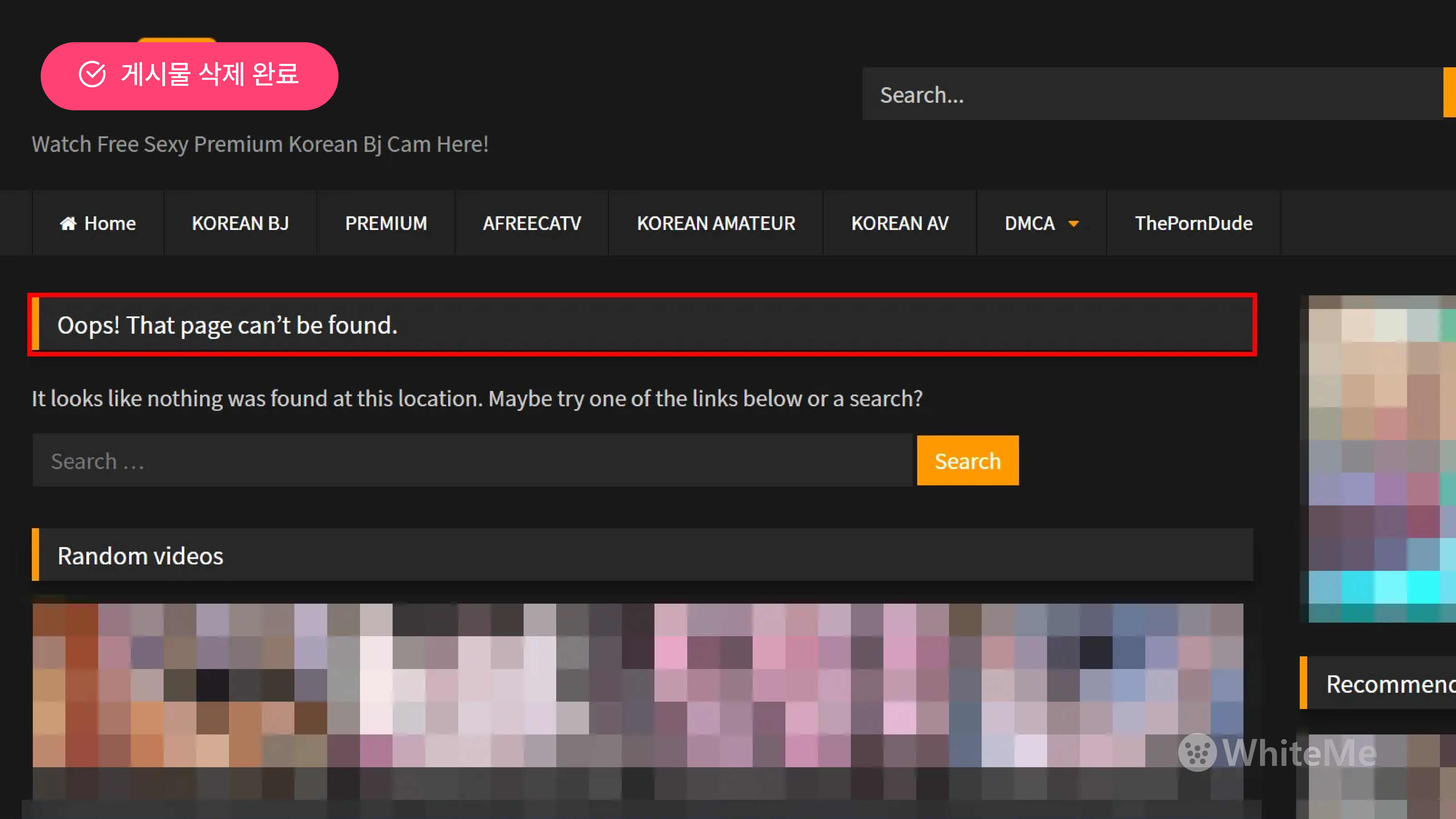 딥페이크 삭제 방법