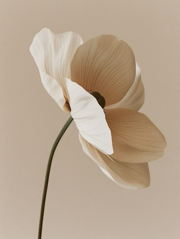 Confident woman in a tan suit holding a resume in a bright office, with colleagues working in the background.