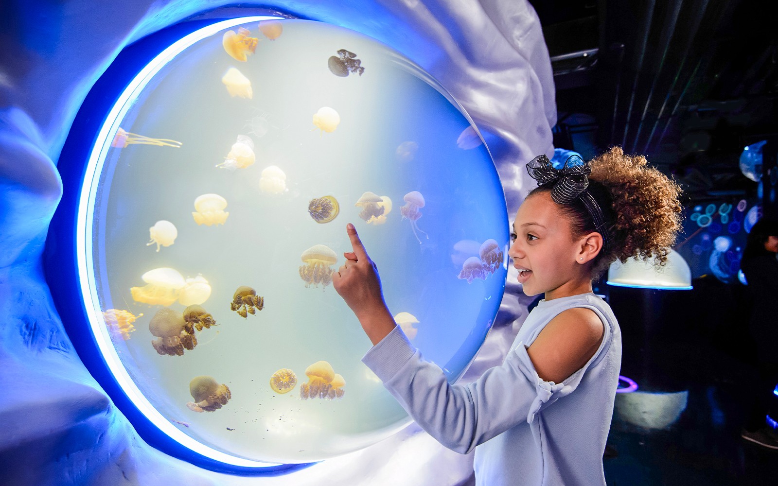 Visitors exploring SEA LIFE London Aquarium with diverse marine life exhibits.