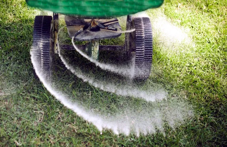 Platz 1: Mangelnde Nährstoffversorgung